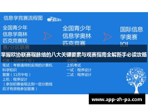 掌握欧协联赛程脉络的八大关键要素与观赛指南全解新手必读攻略