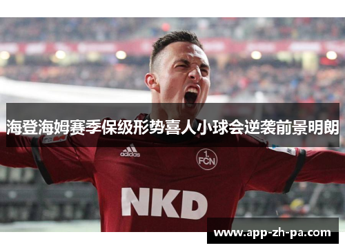 海登海姆赛季保级形势喜人小球会逆袭前景明朗
