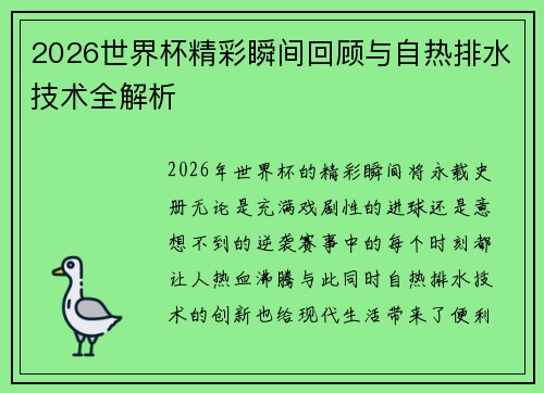 2026世界杯精彩瞬间回顾与自热排水技术全解析